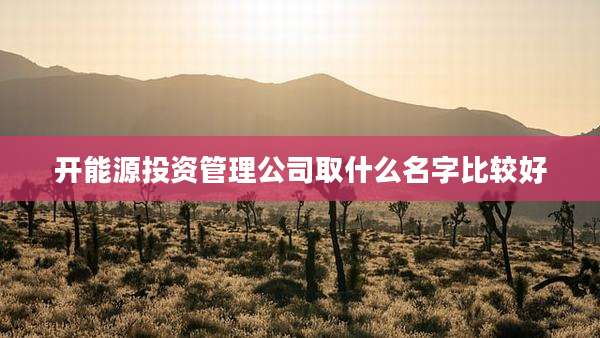 开能源投资管理公司取什么名字比较好