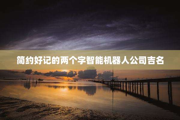 简约好记的两个字智能机器人公司吉名