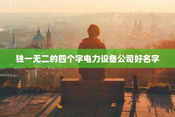 独一无二的四个字电力设备公司好名字