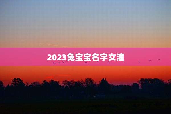 2023兔宝宝名字女潼