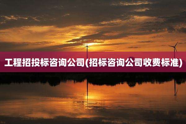 工程招投标咨询公司(招标咨询公司收费标准)