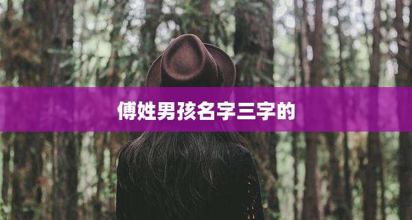 傅姓男孩名字三字的