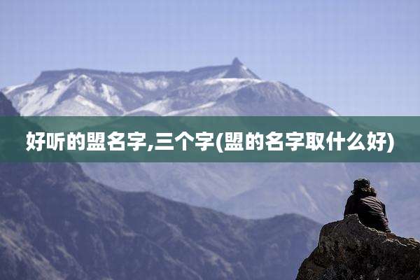 好听的盟名字,三个字(盟的名字取什么好)