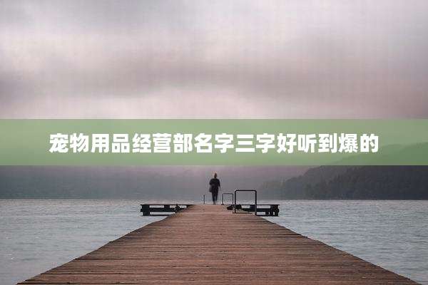 宠物用品经营部名字三字好听到爆的