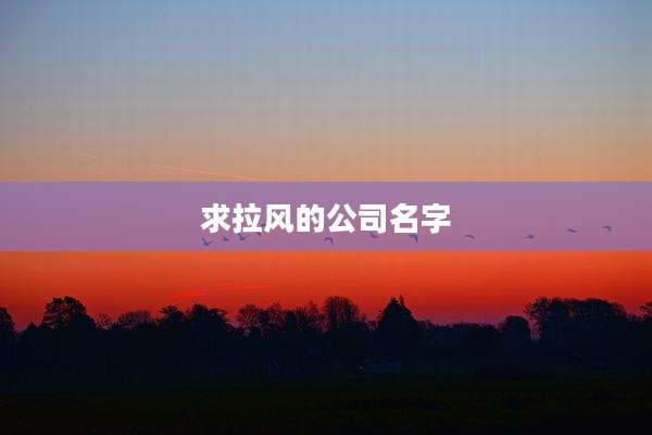 求拉风的公司名字