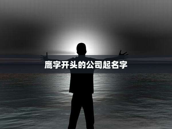鹰字开头的公司起名字