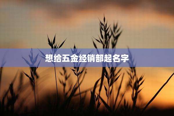 想给五金经销部起名字