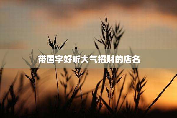 带固字好听大气招财的店名