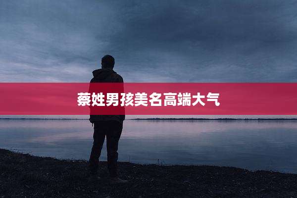 蔡姓男孩美名高端大气