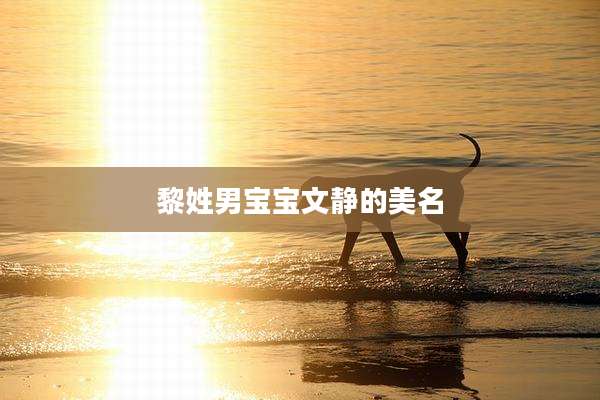 黎姓男宝宝文静的美名