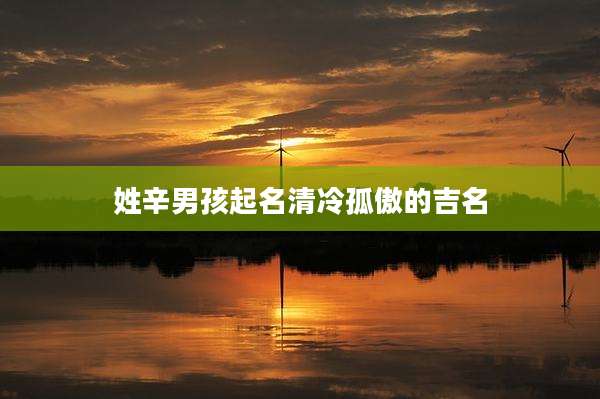 姓辛男孩起名清冷孤傲的吉名