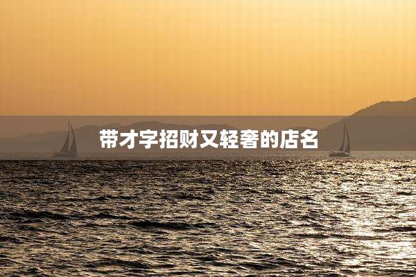 带才字招财又轻奢的店名