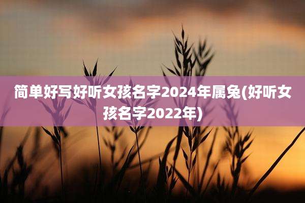 简单好写好听女孩名字2024年属兔(好听女孩名字2022年)