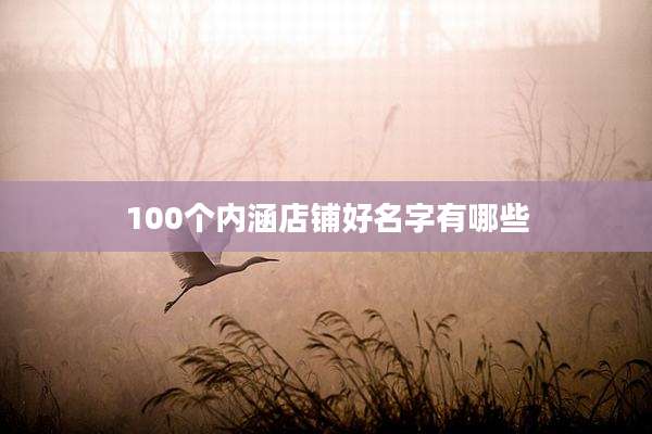 100个内涵店铺好名字有哪些