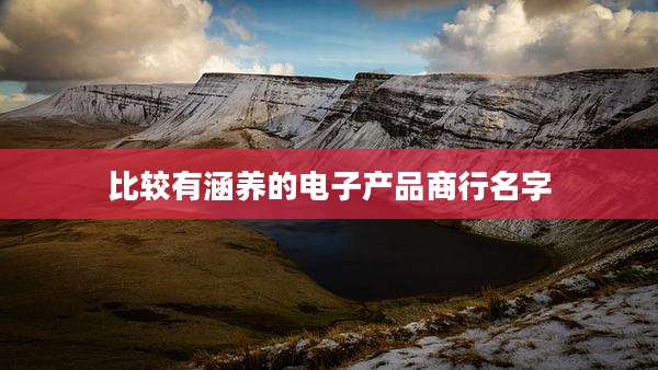 比较有涵养的电子产品商行名字