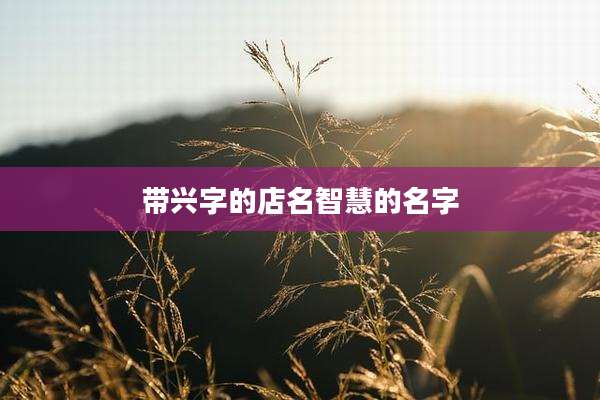 带兴字的店名智慧的名字