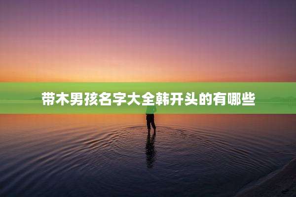 带木男孩名字大全韩开头的有哪些