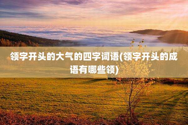 领字开头的大气的四字词语(领字开头的成语有哪些领)
