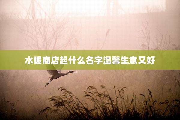 水暖商店起什么名字温馨生意又好