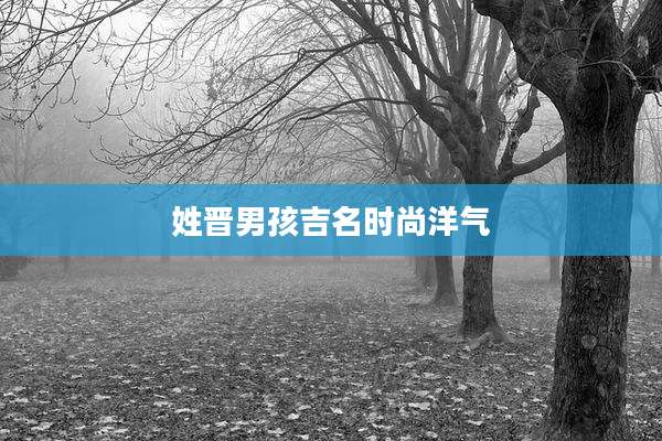 姓晋男孩吉名时尚洋气