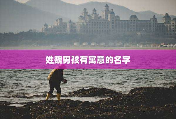 姓魏男孩有寓意的名字