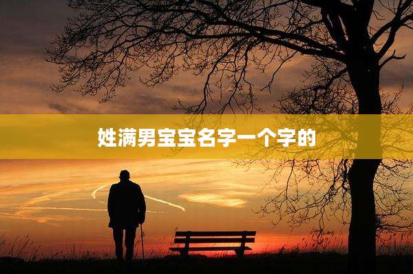 姓满男宝宝名字一个字的