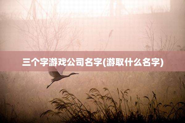 三个字游戏公司名字(游取什么名字)