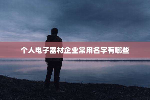 个人电子器材企业常用名字有哪些