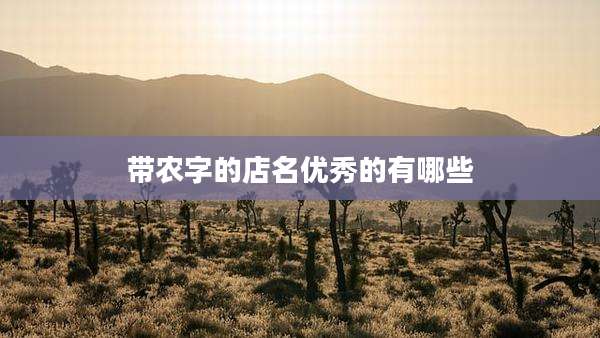 带农字的店名优秀的有哪些