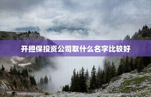开担保投资公司取什么名字比较好