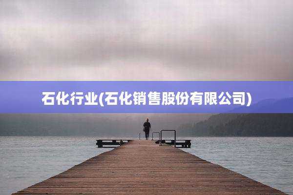 石化行业(石化销售股份有限公司)