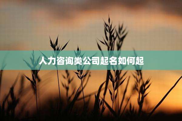 人力咨询类公司起名如何起