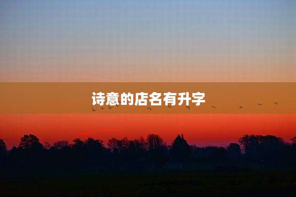 诗意的店名有升字