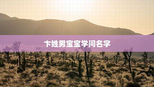 卞姓男宝宝学问名字