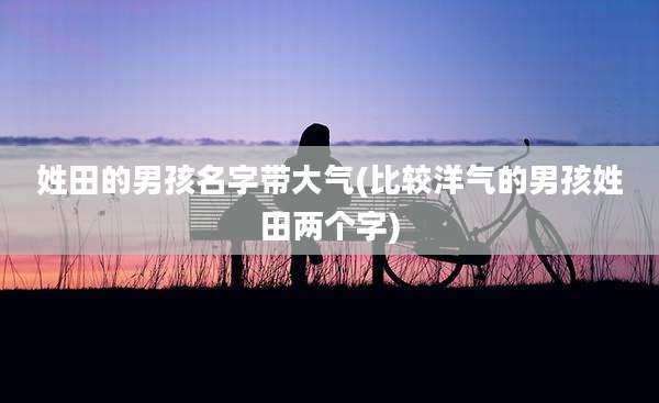 姓田的男孩名字带大气(比较洋气的男孩姓田两个字)