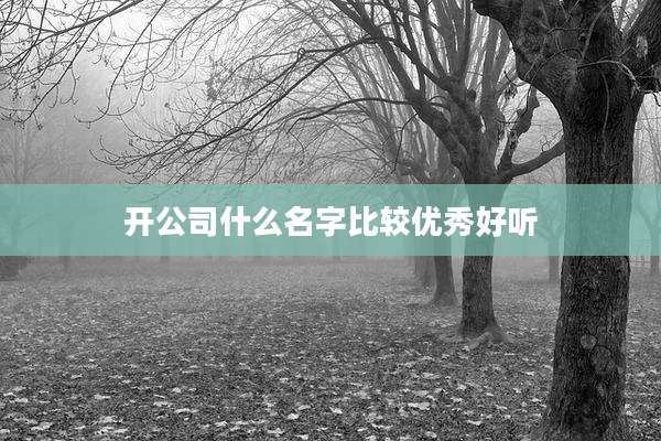 开公司什么名字比较优秀好听