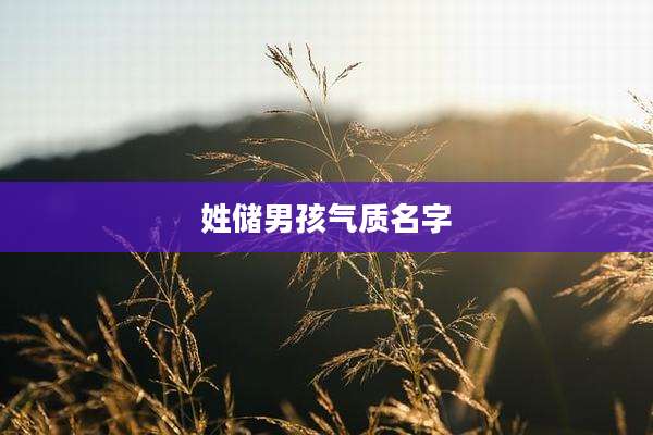 姓储男孩气质名字