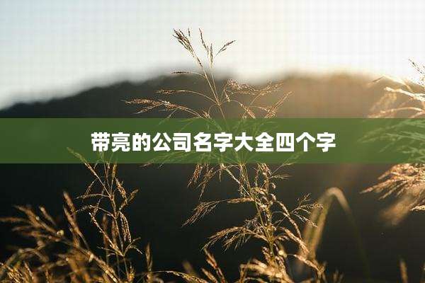 带亮的公司名字大全四个字