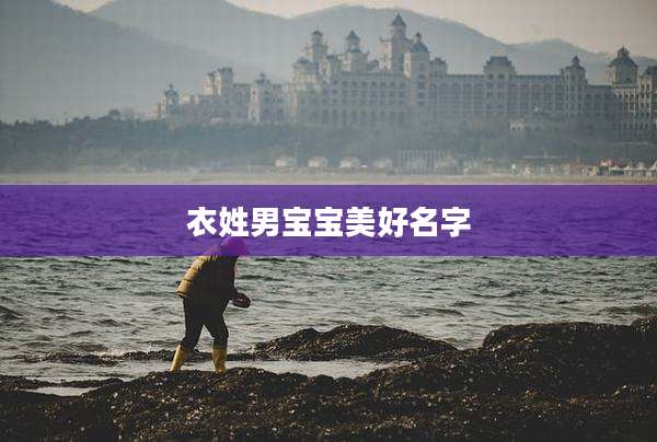 衣姓男宝宝美好名字