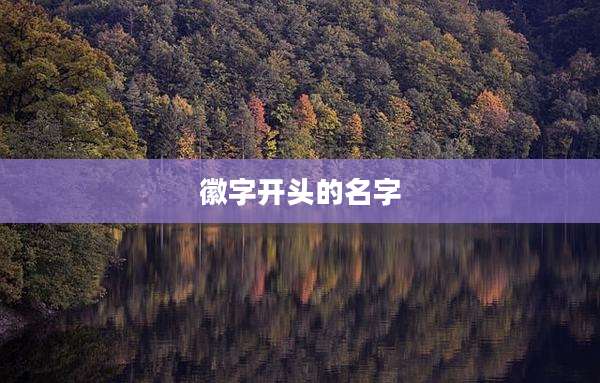 徽字开头的名字