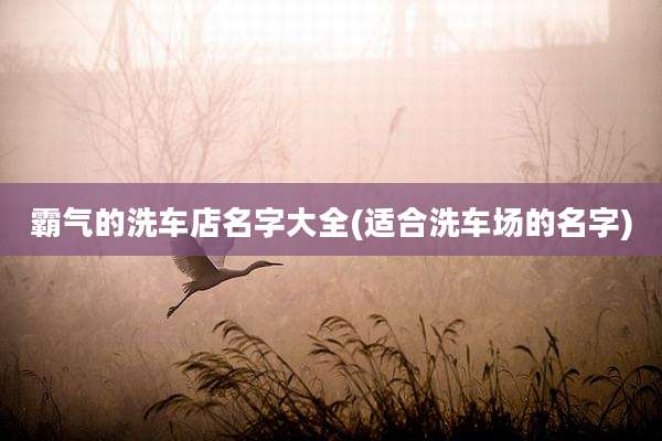 霸气的洗车店名字大全(适合洗车场的名字)