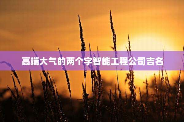 高端大气的两个字智能工程公司吉名