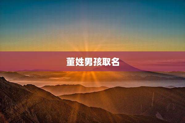 董姓男孩取名