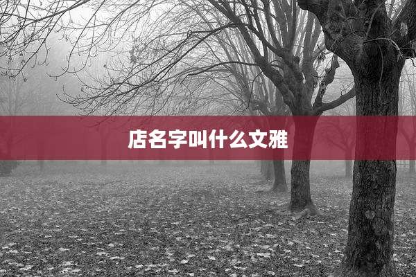 店名字叫什么文雅