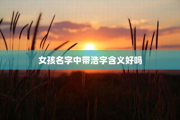 女孩名字中带浩字含义好吗