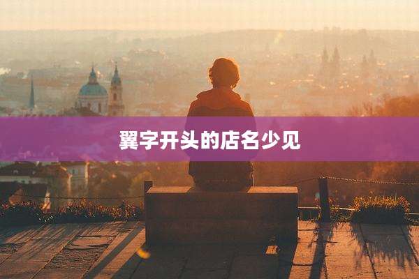 翼字开头的店名少见