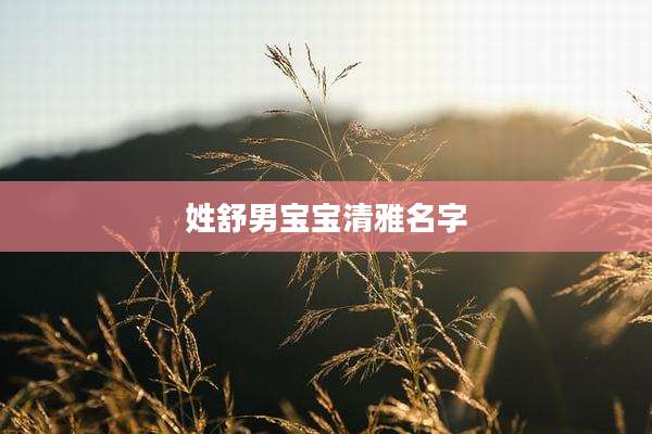 姓舒男宝宝清雅名字