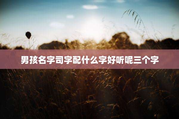 男孩名字司字配什么字好听呢三个字