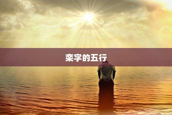 栾字的五行