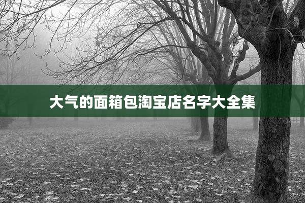 大气的面箱包淘宝店名字大全集